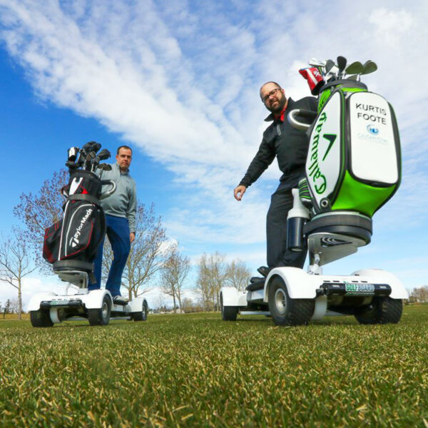 Eswing 1600W 10 inch Tire Size Carts 60V 18.2Ah Battery Electric Scooter for Golf - Image 5