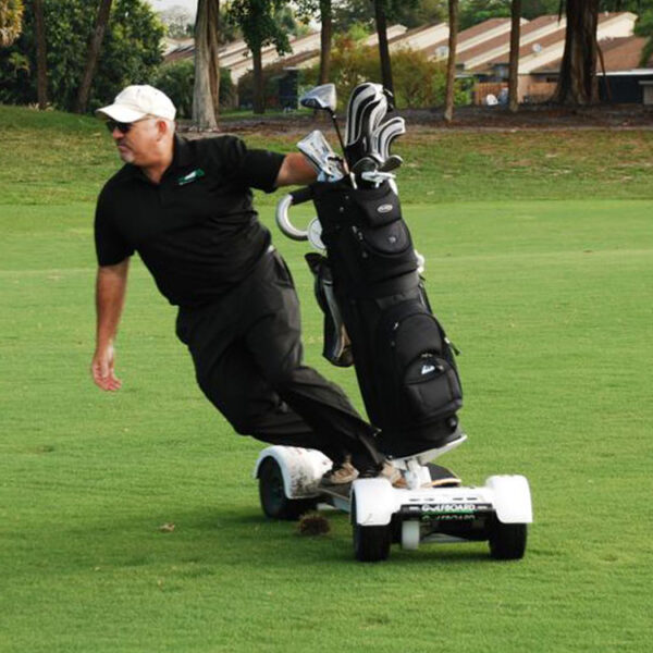 Eswing 1600W 10 inch Tire Size Carts 60V 18.2Ah Battery Electric Scooter for Golf - Image 4