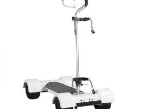 Eswing 1600W 10 inch Tire Size Carts 60V 18.2Ah Battery Electric Scooter for Golf